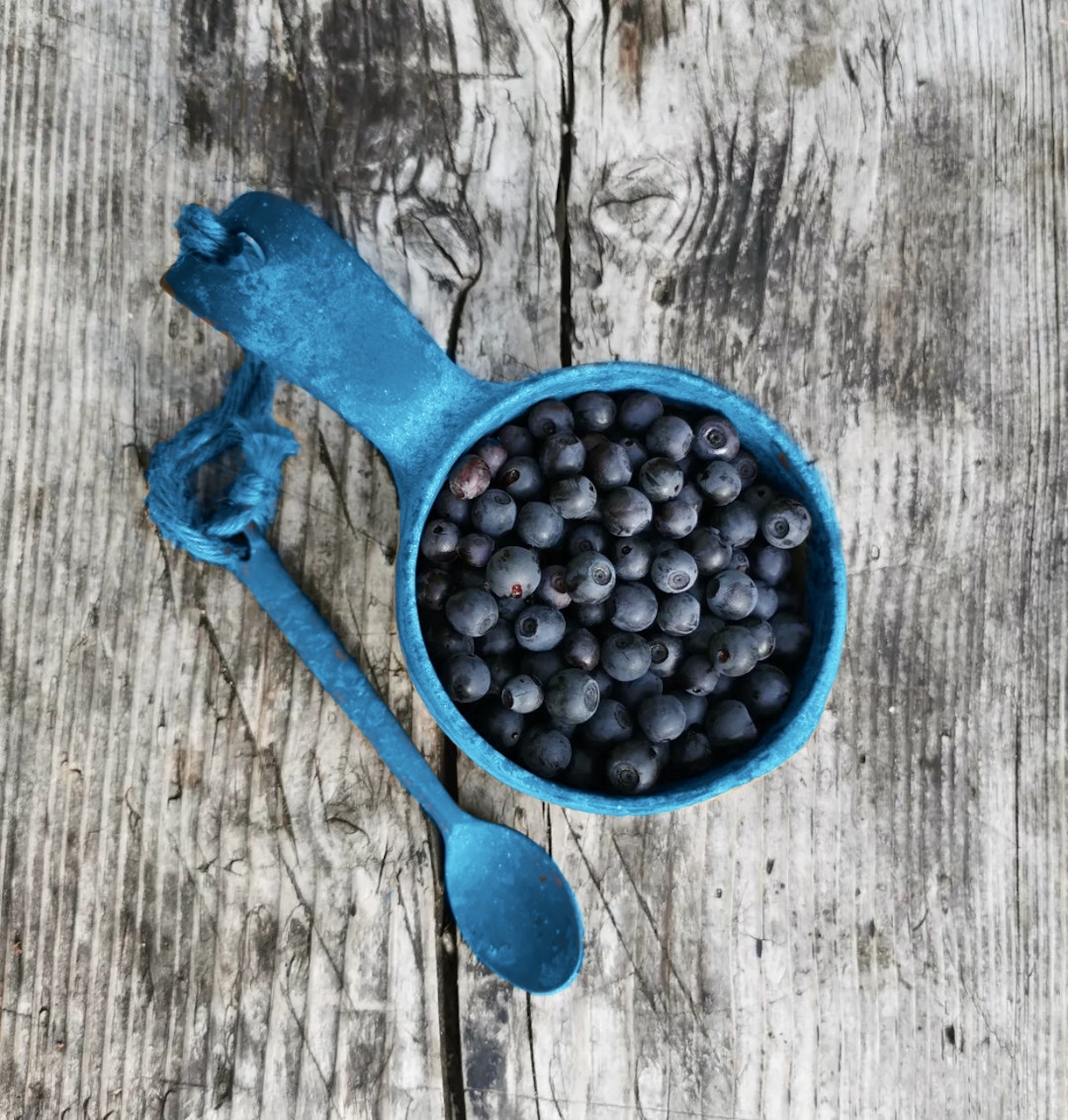 Туристическая чашка кукса Kupilka 21, Blueberry с чайной ложкой для похода, кемпинга, пикника, охоты, рыбалки
