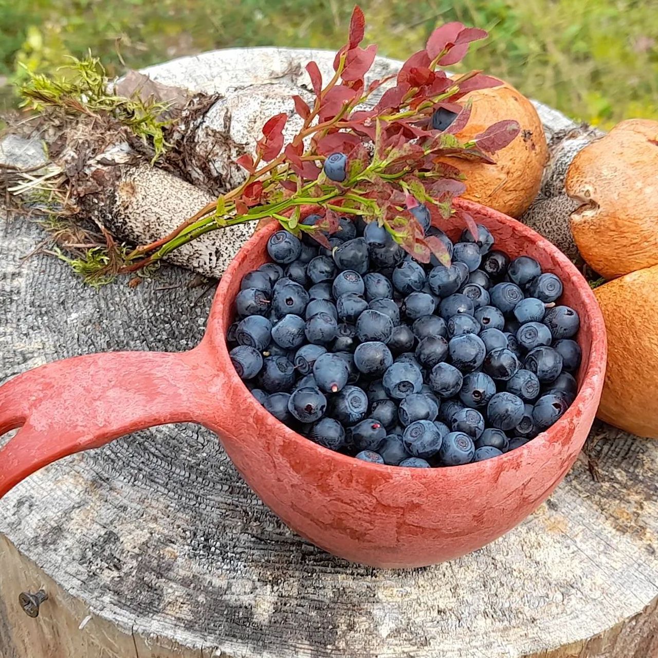 Большая туристическая чашка-кукса Kupilka 37, Cranberry для похода, бушкрафта, кемпинга, отдыха на природе