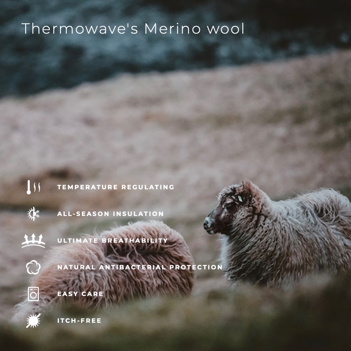 Шерсть мериноса Thermowave Merino