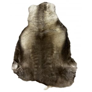Натуральная шкура оленя BG12-30