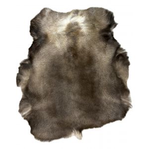 Натуральная шкура оленя BG12-12