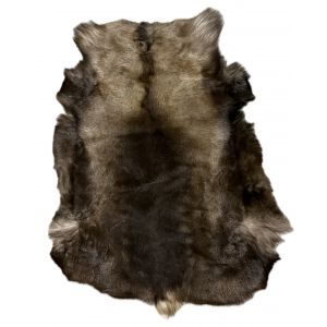 Натуральная шкура оленя BG12-21