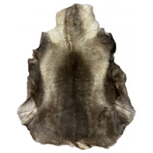 Натуральная шкура оленя BG12-7