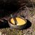 Набор посуды Kupilka 33 Junior Spork Set, Kelo, Цвет: Kelo, изображение 5 - MyBiggame Набор посуды Kupilka 33 Junior Spork Set, Kelo, Цвет: Kelo, изображение 5