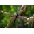 Пила складная Nordic Pocket Saw Skalvik 8, изображение 4 - MyBiggame Пила складная Nordic Pocket Saw Skalvik 8, изображение 4