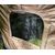 Походная баня True Brands Sky 10 Sauna Tent FR, изображение 35
