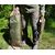 Походная баня True Brands Sky 10 Sauna Tent FR Comfort, изображение 8
