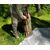 Походная баня True Brands Sky 10 Sauna Tent FR Comfort, изображение 9