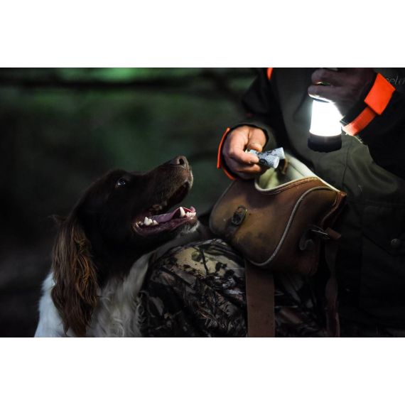 Фонарь Streamlight Siege X USB 325 Lumen Small Outdoor Lantern, изображение 8