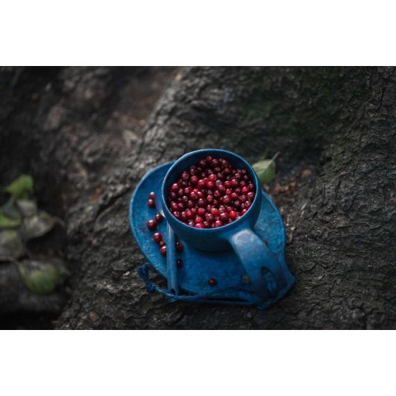 Финская тарелка Kupilka 14, Blueberry, Цвет: Blueberry, изображение 2 - MyBiggame Финская тарелка Kupilka 14, Blueberry, Цвет: Blueberry, изображение 2