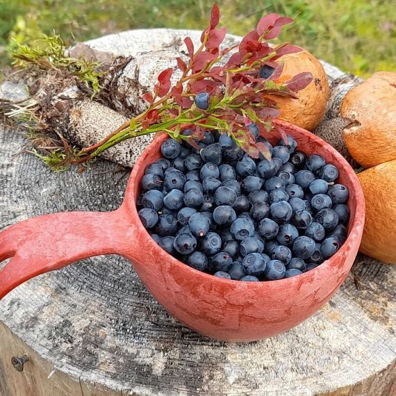 Финская чашка-кукса Kupilka 37, Cranberry, Цвет: Cranberry, изображение 7