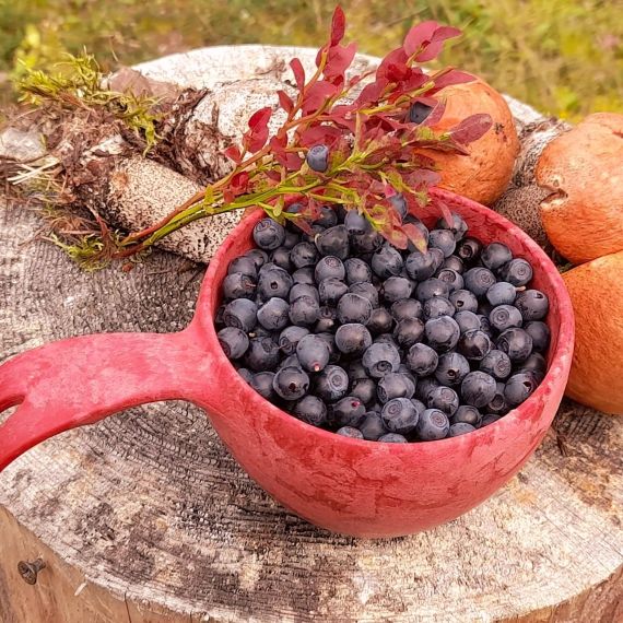 Финская чашка-кукса Kupilka 21, Cranberry, Цвет: Cranberry, изображение 7