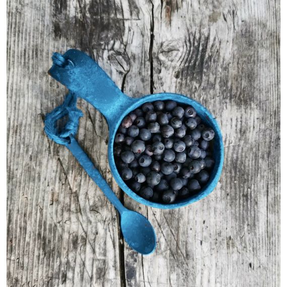 Финская чашка-кукса Kupilka 21, Blueberry с чайной ложкой, Цвет: Blueberry, изображение 4