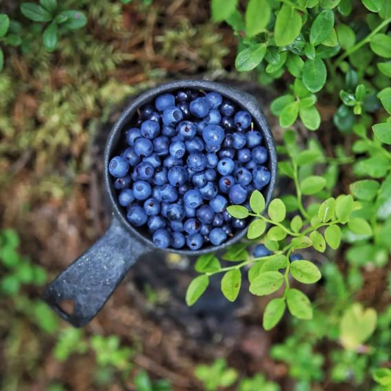 Финская чашка-кукса Kupilka 21, Kelo с чайной ложкой, Цвет: Kelo, изображение 6