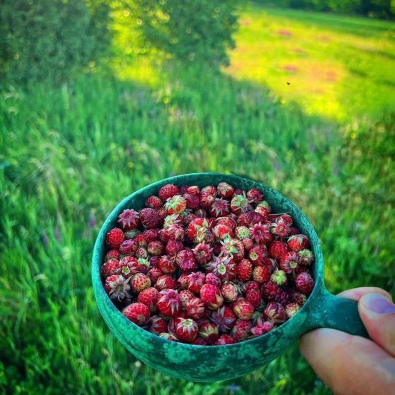 Миска глубокая Kupilka 33 Junior Craft Box, Conifer, Цвет: Conifer, изображение 7