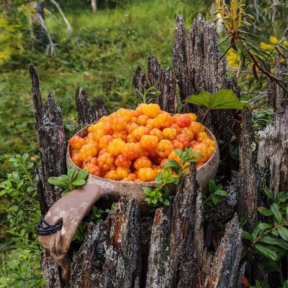 Миска глубокая Kupilka 55 Camping, Original, Цвет: Original, изображение 4