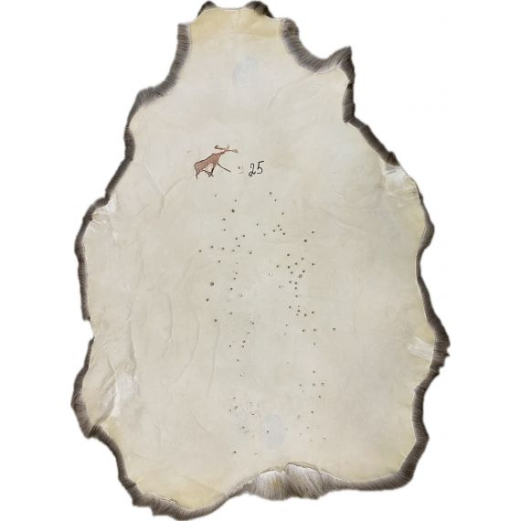 Натуральная шкура оленя BG4-25, изображение 2