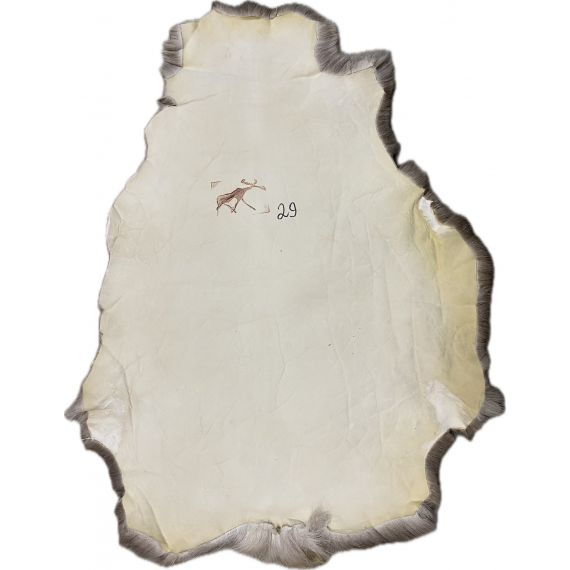 Натуральная шкура оленя BG4-29, изображение 2 - MyBiggame Натуральная шкура оленя BG4-29, изображение 2