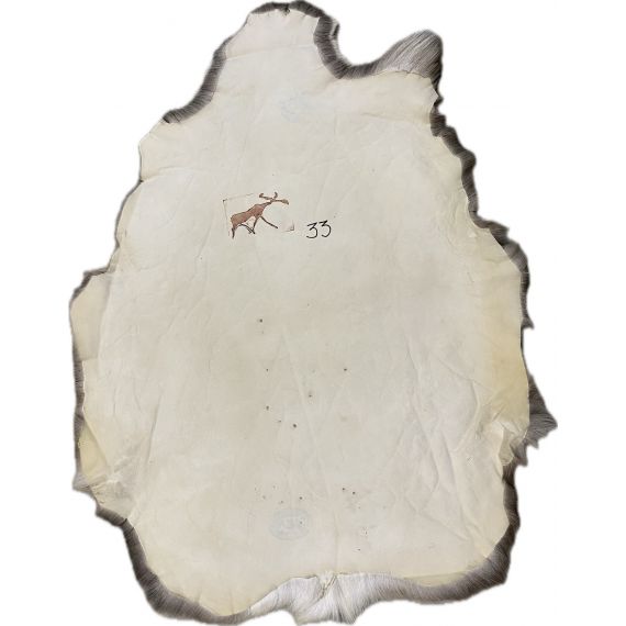 Натуральная шкура оленя BG4-33, изображение 2