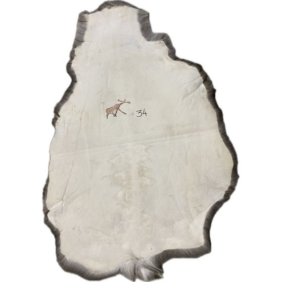 Натуральная шкура оленя BG4-34, изображение 2