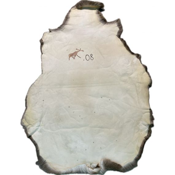 Натуральная шкура оленя BG4-8, изображение 2