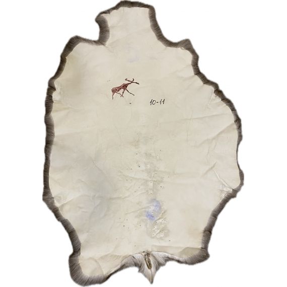 Натуральная шкура оленя BG10-11, изображение 2 - MyBiggame Натуральная шкура оленя BG10-11, изображение 2