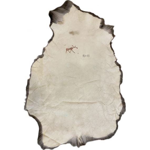 Натуральная шкура оленя BG10-13, изображение 2