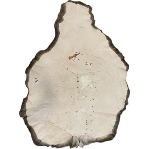 Натуральная шкура оленя BG10-14, изображение 2