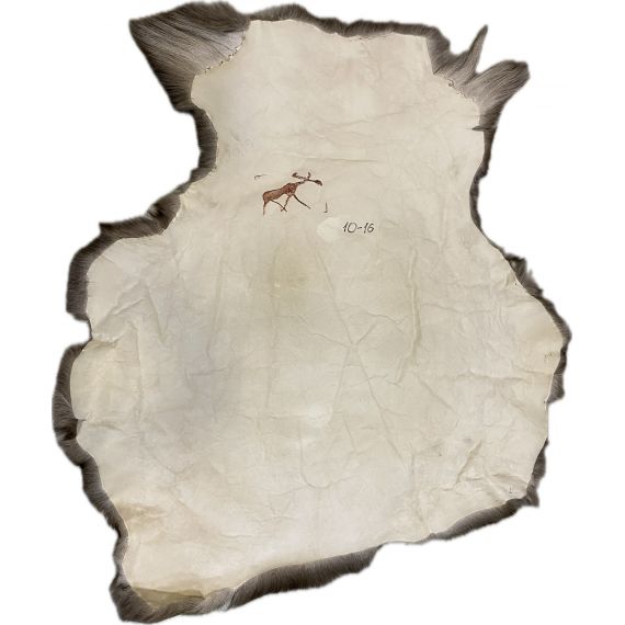 Натуральная шкура оленя BG10-16, изображение 2 - MyBiggame Натуральная шкура оленя BG10-16, изображение 2