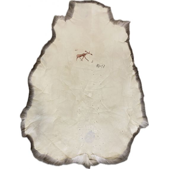 Натуральная шкура оленя BG10-17, изображение 2