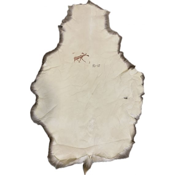 Натуральная шкура оленя BG10-18, изображение 2