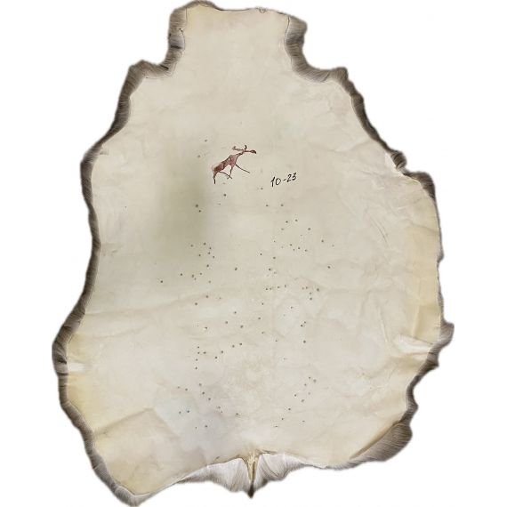 Натуральная шкура оленя BG10-23, изображение 2 - MyBiggame Натуральная шкура оленя BG10-23, изображение 2