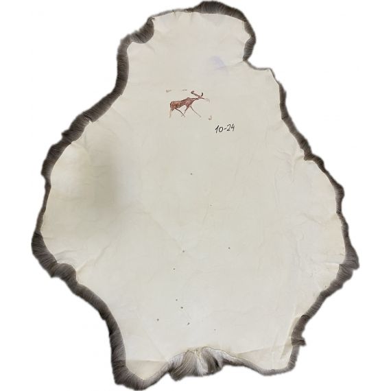 Натуральная шкура оленя BG10-24, изображение 2