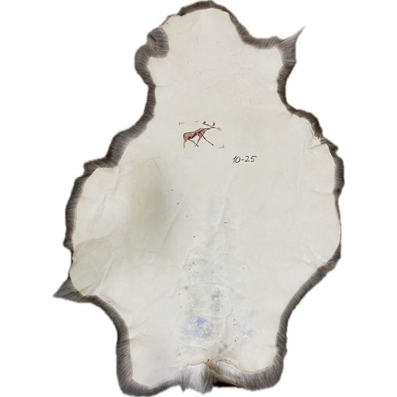 Натуральная шкура оленя BG10-25, изображение 2