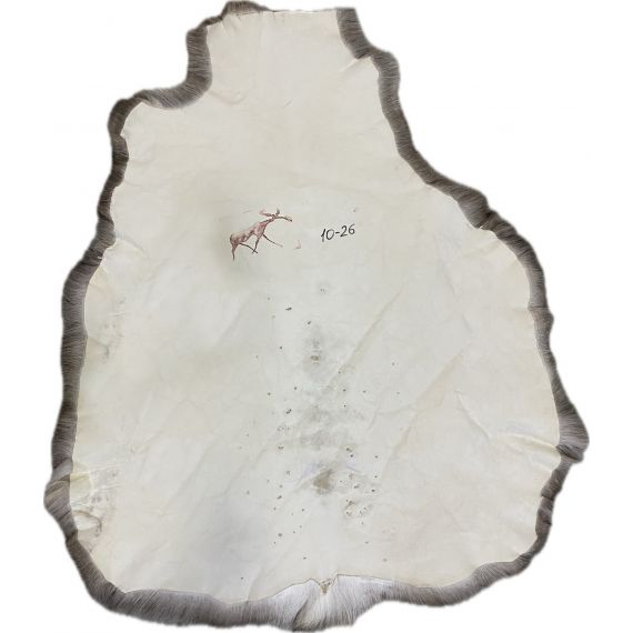 Натуральная шкура оленя BG10-26, изображение 2