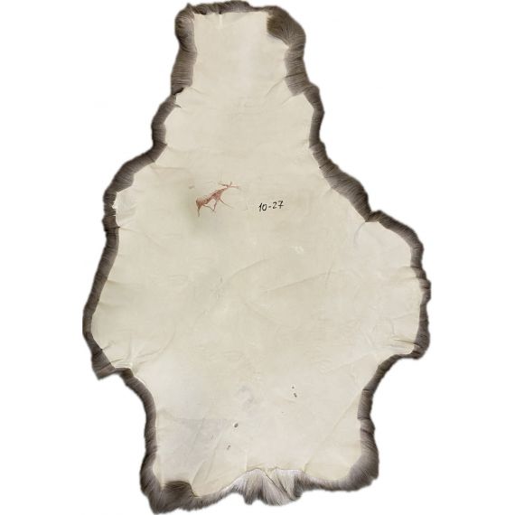 Натуральная шкура оленя BG10-27, изображение 2