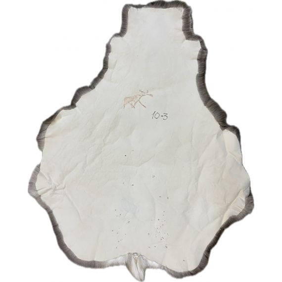 Натуральная шкура оленя BG10-3, изображение 2