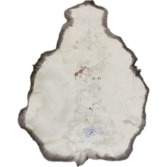 Натуральная шкура оленя BG10-31, изображение 2