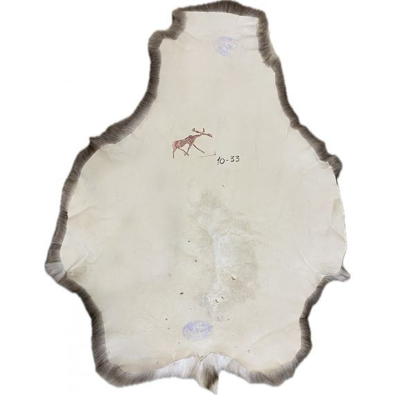 Натуральная шкура оленя BG10-33, изображение 2