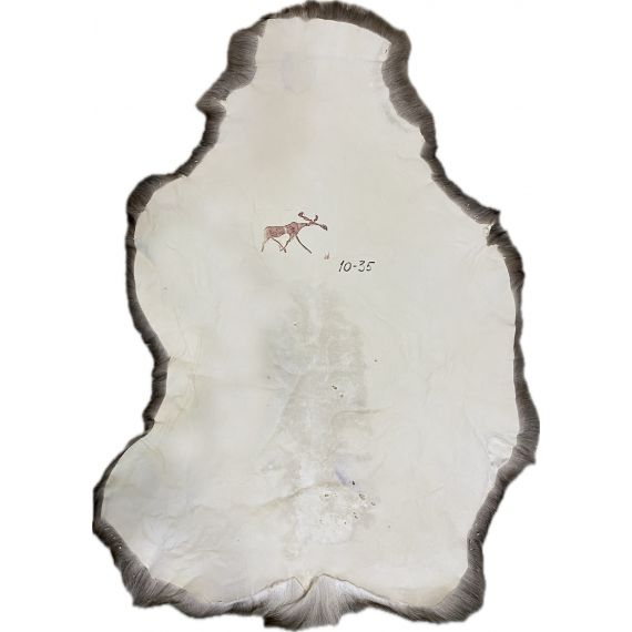 Натуральная шкура оленя BG10-35, изображение 2