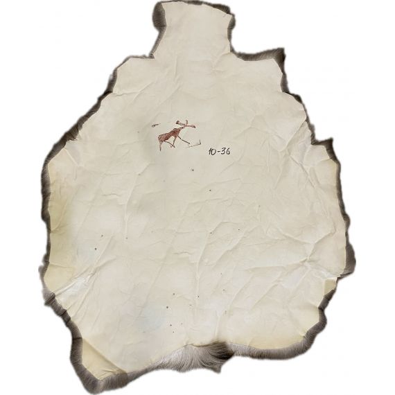Натуральная шкура оленя BG10-36, изображение 2 - MyBiggame Натуральная шкура оленя BG10-36, изображение 2