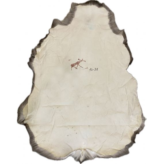 Натуральная шкура оленя BG10-37, изображение 2