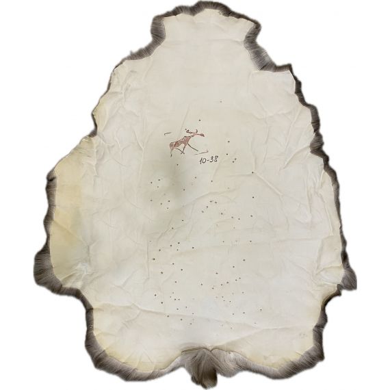 Натуральная шкура оленя BG10-38, изображение 2