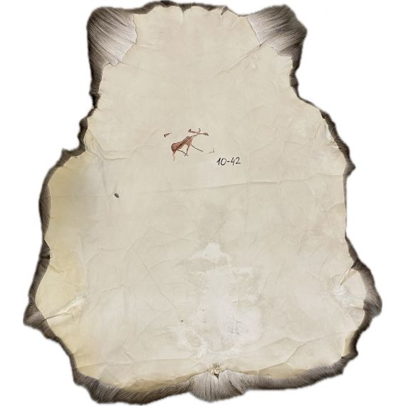 Натуральная шкура оленя BG10-42, изображение 2