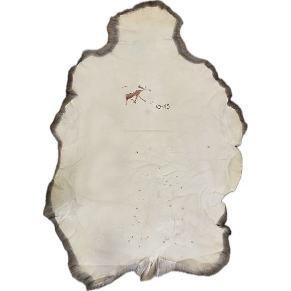 Натуральная шкура оленя BG10-43, изображение 2