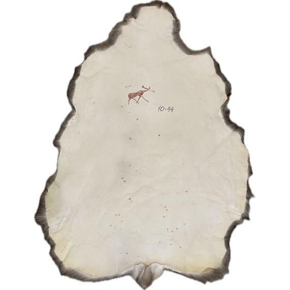 Натуральная шкура оленя BG10-44, изображение 2