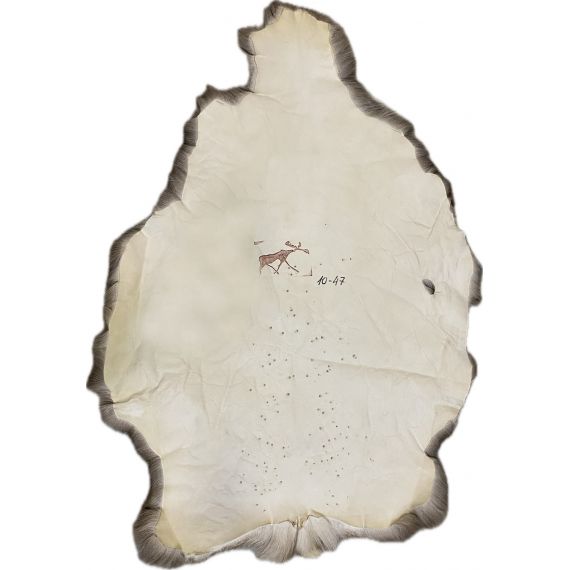 Натуральная шкура оленя BG10-47, изображение 2 - MyBiggame Натуральная шкура оленя BG10-47, изображение 2