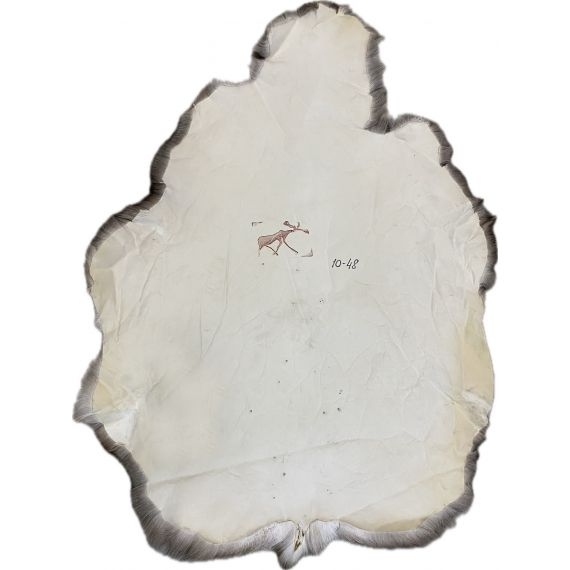 Натуральная шкура оленя BG10-48, изображение 2