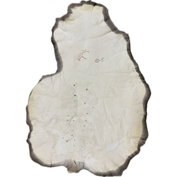 Натуральная шкура оленя BG10-5, изображение 2