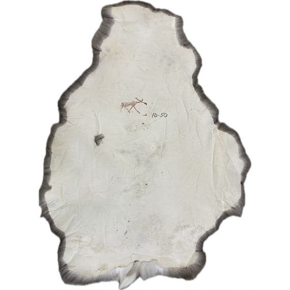 Натуральная шкура оленя BG10-50, изображение 2